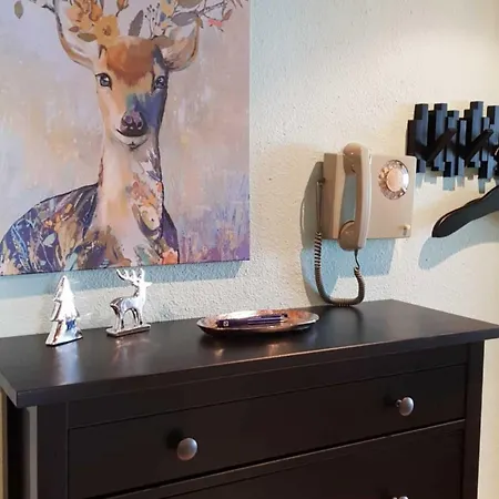 Harzoase Im Panoramic Daire Braunlage