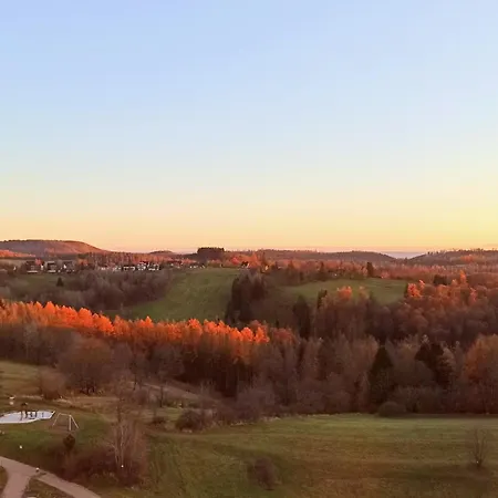 Harzoase Im Panoramic Apartament Braunlage