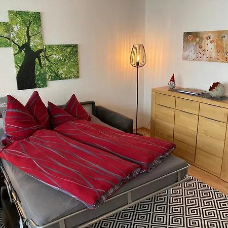 Apartament Harzoase Im Panoramic Braunlage