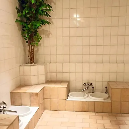 Harzoase Im Panoramic Braunlage